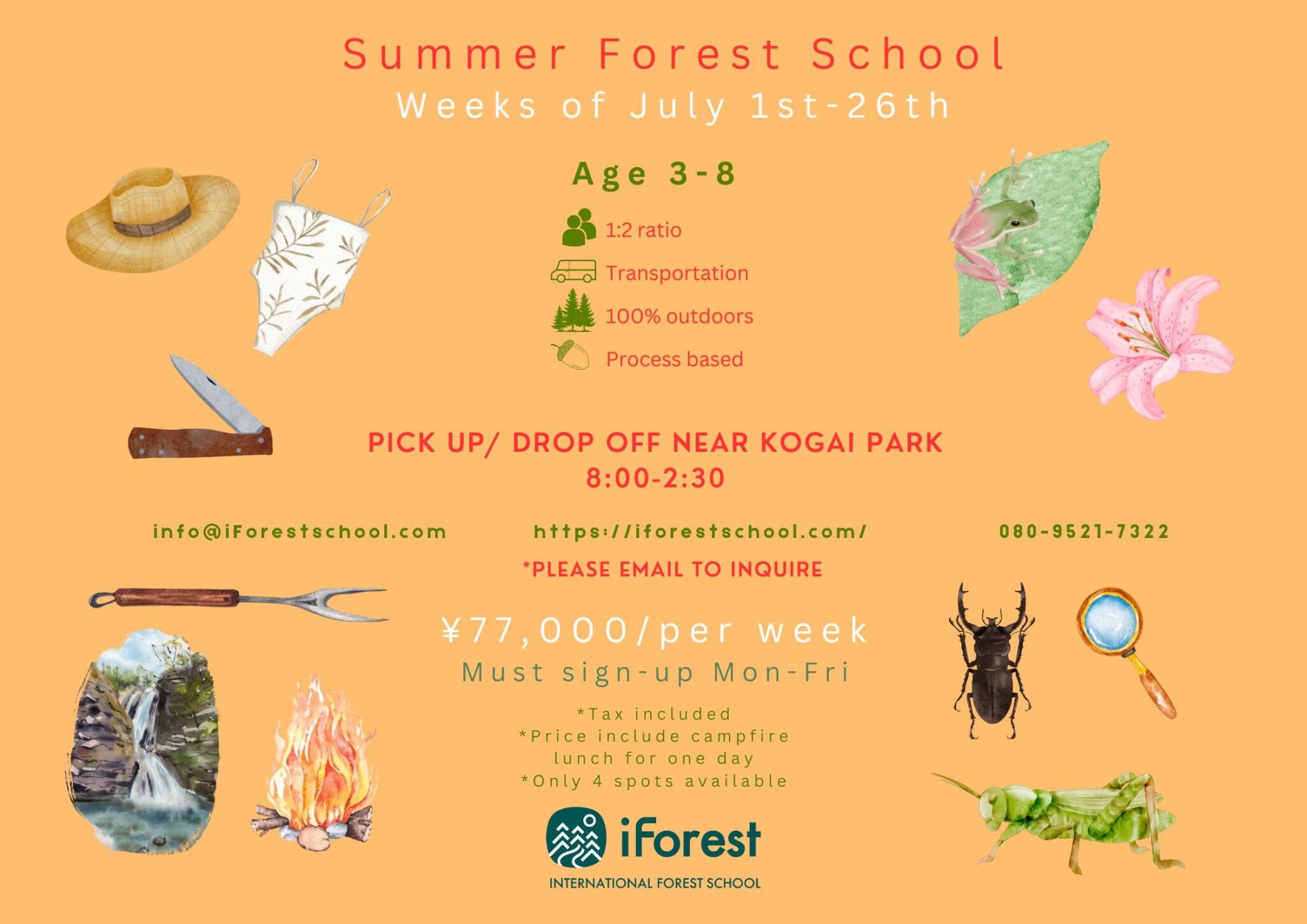 Summer School 2024 iForest