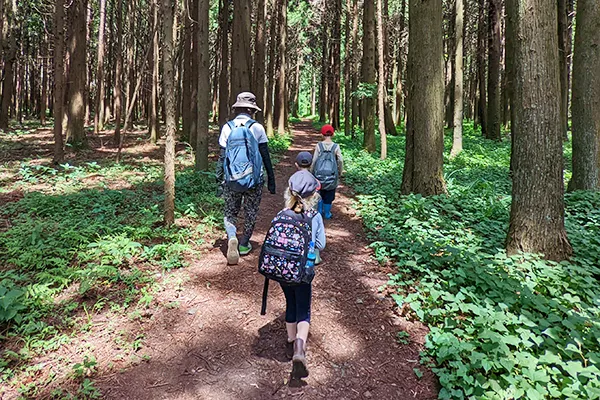 a group of children and teacher walking in the forest
